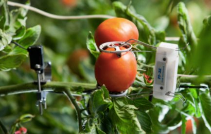 Smart farming